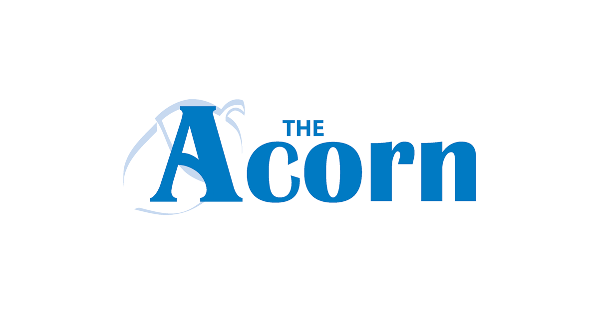 acorn logo